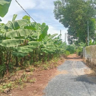 Kẹt Tiền Bán Gấp 7,1 Sào Đất Trồng Chuối Tại Sông Trầu, Trảng Bom