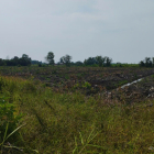 Đất chính chủ Long An 5375,2 m2; 1,32 triệu/m2 có sổ, gần đường N2