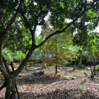 Chính Chủ Bán Gấp Đất Vườn Gia Kiệm, Thống Nhất, Đồng Nai - 6800M2 Giá Chỉ 850tr