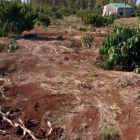 Bán Đất 4.7ha Xã Quảng Hiệp, Cư M’gar – Có Nhà, Sầu Riêng, Cà Phê, Điện 3 Pha