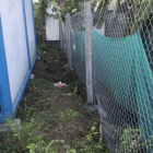 Bán đất trồng cây sổ chung có nhà tôn nhỏ 18m2