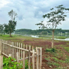 Chủ gửi 2 lô đất 320 Triệu khách thiện chí alo em