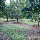 Bán đất tại Đường Quốc Lộ 20, Xã Phú Ngọc, Định Quán, Đồng Nai diện tích 6744m2