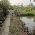 BIỆT THỰ VƯỜN 2 MẶT TIỀN – VIEW SÔNG CỰC ĐẸP – CƠ HỘI ĐẦU TƯ SIÊU LỢI NHUẬN!