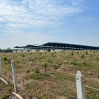 Hàng hiếm lô đất sào 2288m2 có thổ cư gần chợ An Linh, kế cty Anova, 1 sẹc DH507