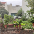 Nhỉnh 8 tỷ có ngay 62,2m đất tổ 8 Thạch Bàn, ô tô vào nhà, cách 30m ra hồ, ô tô