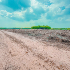 CHÍNH CHỦ BÁN LÔ ĐẤT VƯỜN–SAU LƯNG CHỢ THẠNH BÌNH, TÂN BIÊN