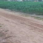 Cần bán gấp lô đất thích hợp làm vườn wieu núi bà có sổ hồng riêng