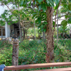 Bán đất P. Hưng Định, TP. Thuận An, 2009 m2, pháp lý đầy đủ, uy tín, chỉ 32 tỷ