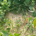 BÁN TOÀN BỘ CÔNG TY ĐANG HOẠT ĐỘNG – NHÀ MÁY GẠCH, MỎ SÉT, ĐẤT TRỒNG TRÀM