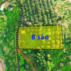 Tặng luôn nếu có lô nào gần QL14 hơn và rẻ hơn - Diện tích sổ 6403m2 , TT 8 SÀO