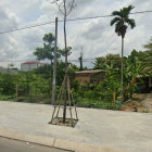 Bán đất mt đường vào chùa Phật Ngọc Xá Lợi , Vĩnh Long