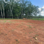 Đất mặt tiền 18m Long Hà - Bình Phước