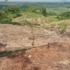 CƠ HỘI ĐẦU TƯ VÀNG GIÁ SIÊU NGỘP. 5,2 HEC-TA”GIÁ RẺ VIEW SUỐI ĐẸP. QL 29