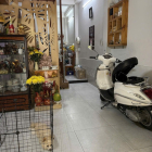 Quận 10, Nguyễn Tri Phương, phường Vườn Lài, 30m2, 4 tầng, 4PN, hơn 7 tỷ