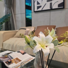 CHỈ VỚI 179 TRIỆU – SỞ HỮU NGAY CĂN HỘ NHƯ MƠ ƯỚC PHÍA TÂY TP.HCM!