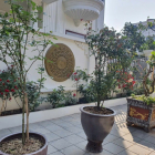 Bán căn biệt thự 3 tầng khu Đỉnh Long, ph Lê Thanh Nghị, TP HD, 162m2, mt 12m, 5