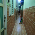 CÓ NGAY THU NHẬP 85 TR/TH, CHDV TÂN BÌNH 5 TẦNG. BÁN GẤP, GIÁ ĐẦU TƯ TRÊN 10 TỶ