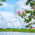 BÁN NỀN GÓC BIỆT THỰ ĐỐI DIỆN UBND phường, dự án Happy Home Càu Mau