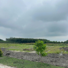 Chính chủ cần bán gấp lô đất giữa lòng KCN Minh Hưng 3 sổ sẵn giá ngộp