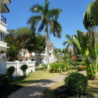 Môi trường sống thượng lưu 6x20, đậm chất sống sinh thái