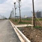 Chuyển nhượng 40.000m2 khu công nghiệp Hữu Lũng – Lạng Sơn, bàn giao sớm.