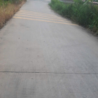 Bán đất thổ lúa đường xe hơi tại Xã Long An, Cần Giuộc, Long An