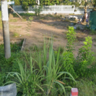 Chính chủ cần bán đất đường Lê Đức Thọ(Tỉnh 922 cũ), Tân Thạnh, Thới Lai.Cần Thơ