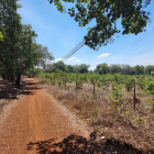 Một Lựa Chọn ĐÁNG Cân Nhắc nếu đang tìm Đất Vườn quanh hồ Trị An