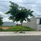 Ngộp bán nhanh đất Phước Hải - Vũng Tàu, chỉ từ 800tr mặt nhựa tim vàng