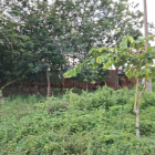 Cần thanh lý trong tháng lô đất HXH đường Phú Thuận, Củ Chi