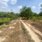 Tôi cần bán 2 miếng đất liền kề 32m*69m ở xã Long Hoà,Dầu Tiếng,Bình Dương(TPHCM