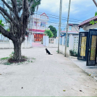 ĐẤT VÀNH ĐAI NAM KỲ KHỞI NGHĨA