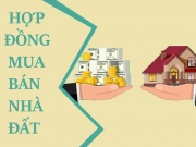 Mẫu hợp đồng mua bán, tặng cho nhà đất