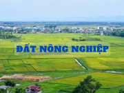 Đất nông nghiệp là gì? Có được chuyển đổi lên đất thổ cư?