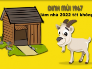 Tuổi Mùi xây nhà sửa nhà vào năm 2022 tốt không?