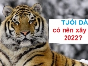 Tuổi Dần có nên xây nhà, mua nhà năm 2022?