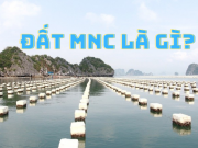 MNC là đất gì? Phân loại và quy định sử dụng đất MNC như thế nào?