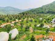 Kinh nghiệm cơ bản đi săn đất vườn: 10 lưu ý không được bỏ sót
