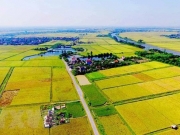 5 kinh nghiệm đầu tư đất nông nghiệp an toàn, sinh lời