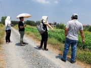 'Người có trình độ không nên đi buôn đất để làm giàu'