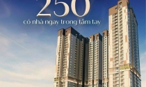 Căn hộ chung cư tại quận thủ đức tp thủ đức cafelandvn
