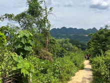 DT 1650M VIEW HỒ HB ,PHONG CẢNH NÊN THƠ ĐANG CẦN TÌM CHỦ NHÂN Ạ , GỌI E LVCC Ạ 