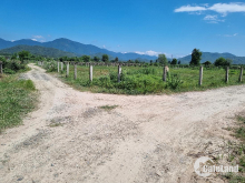 1ha Đất chính chủ,thôn 2 hàm liêm,ô tô vào thoải mái,điện nước đủ