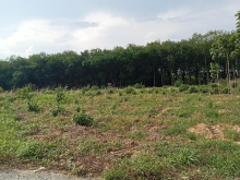 Cần bán gấp 4000m2 kcn vsip2 mở rộng