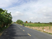 Lô Đất Đẹp 4.404m² Mặt Tiền Lộ Bờ Nam Sông Đốc Đoạn Vòng Xoay QL 1 A Chợ Rau Dừa