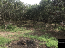 đất cần bán gần khu công nghiệp sonadezi liên hệ chính chủ 0898869752