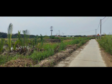 Bán đất hxh xã Bình Khánh

-Diện tích 3141,8m2 trong đó có 1924m2 thổ cư
