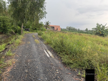 CẦN BÁN ĐẤT VƯỜN GIÁ TỐT – SỔ HỒNG RIÊNG 