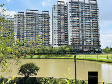 𝐂𝐚̆𝐧 𝐡𝐨̣̂ 𝐜𝐚𝐨 𝐜𝐚̂́𝐩 𝐓𝐫𝐞𝐥𝐥𝐢𝐚 𝐂𝐨𝐯𝐞–𝐌𝐢𝐳𝐮𝐤𝐢 𝐏𝐚𝐫𝐤, 𝐍𝐚𝐦 𝐒𝐚̀𝐢 𝐆𝐨̀𝐧 